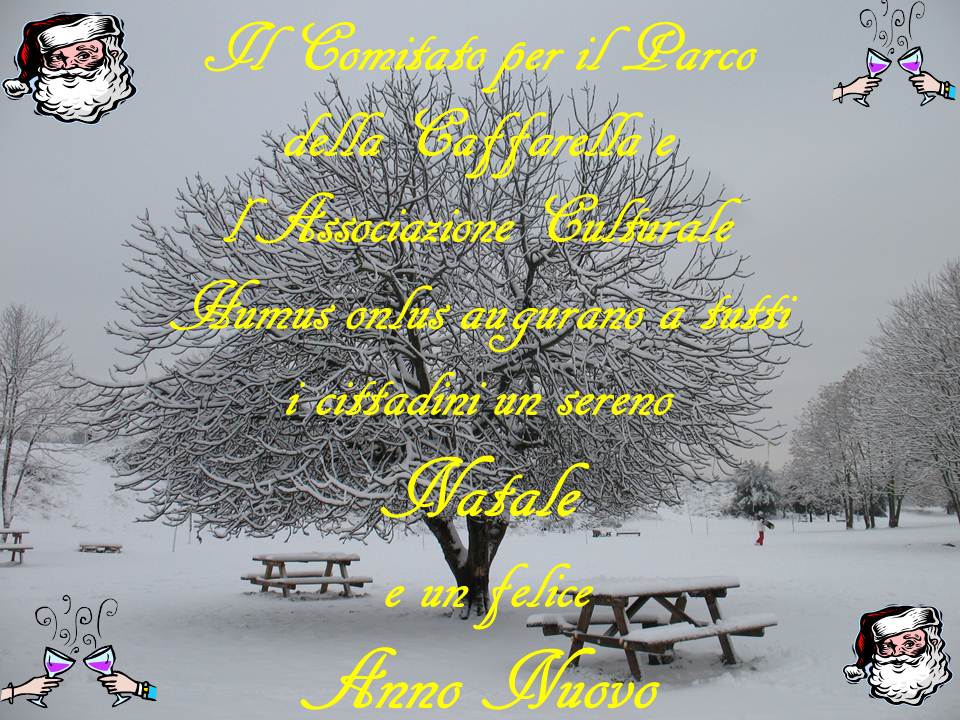 Auguri_di_Natale_2012_1