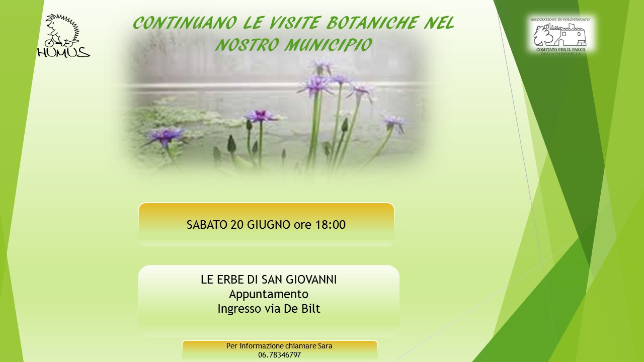 Programma visite Sara 2