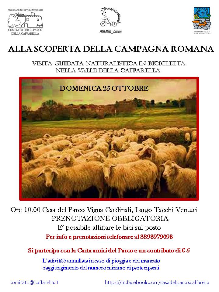 Locandina Campagna romana1