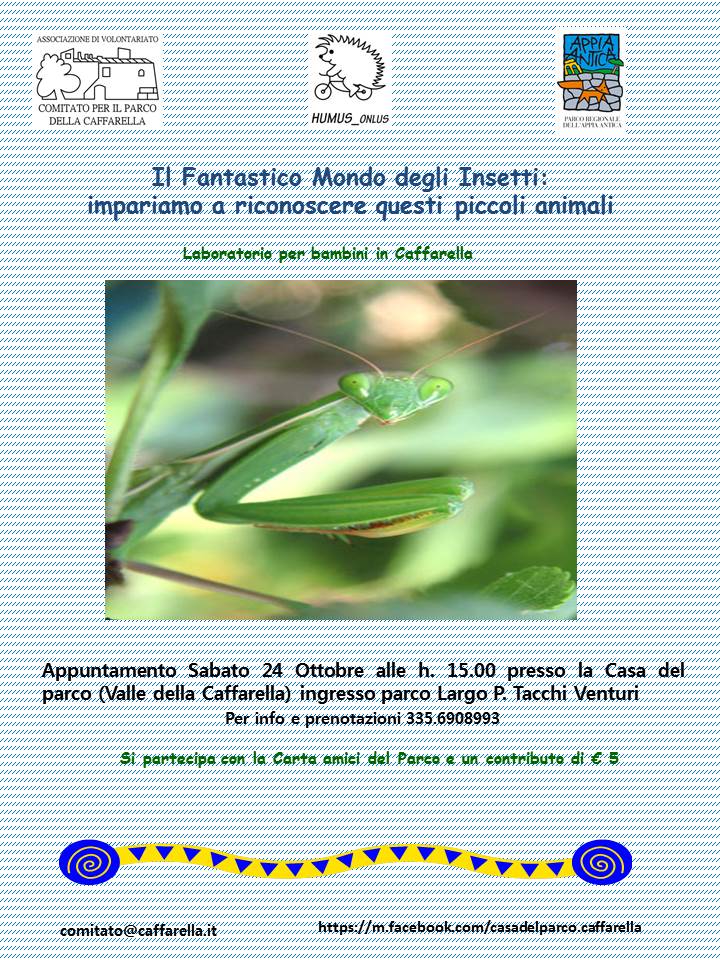 Mondo degli insetti Beatrice