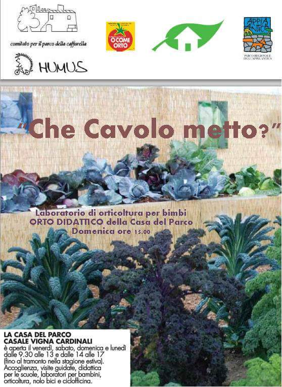 Orto 11 novembre
