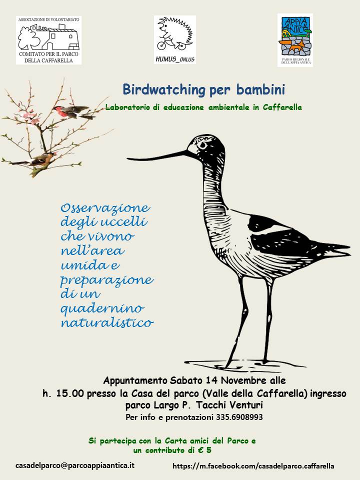 Bambini Birdwatching