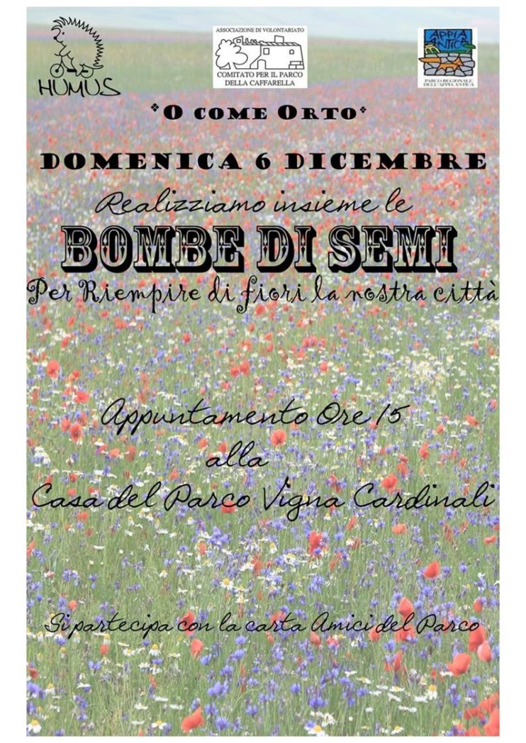 Bombe di semi 1