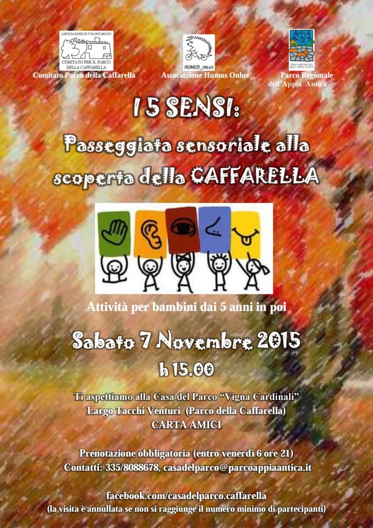 Volantino Michela 5 sensi