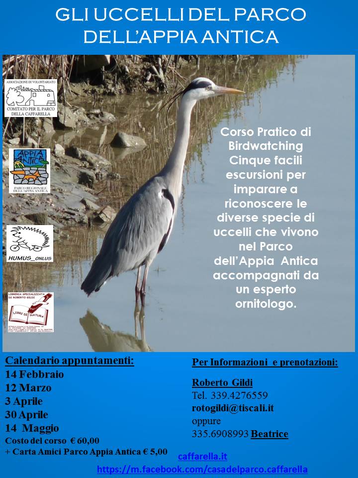Corso Birdwatching