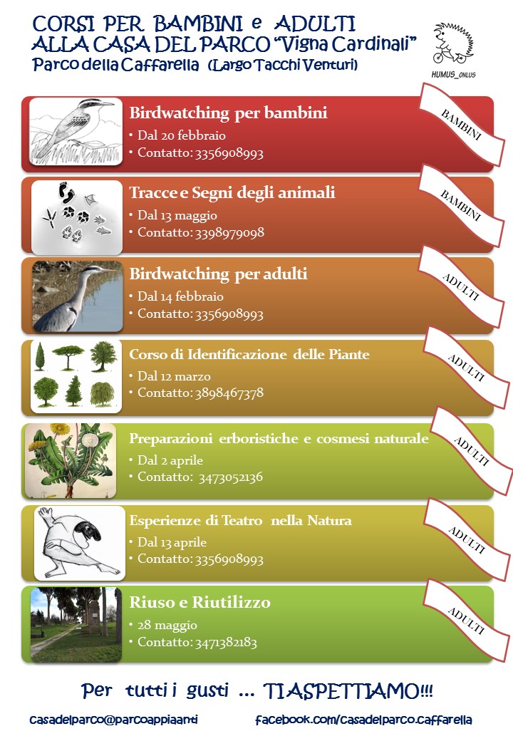 corsi CAFFARELLA Michela 