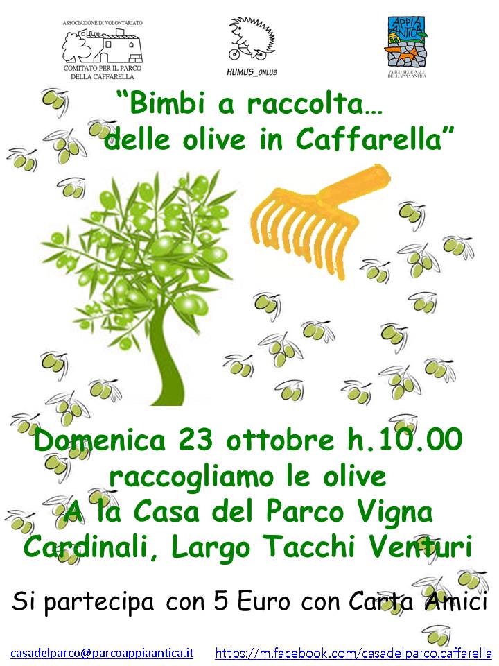 Locandina olive 23 ottobre 16