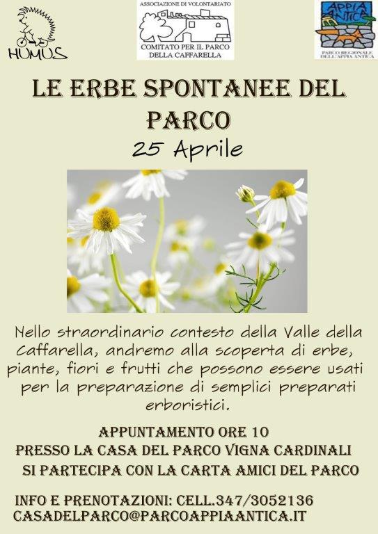 Le-erbe-spontanee-della-Caffarella