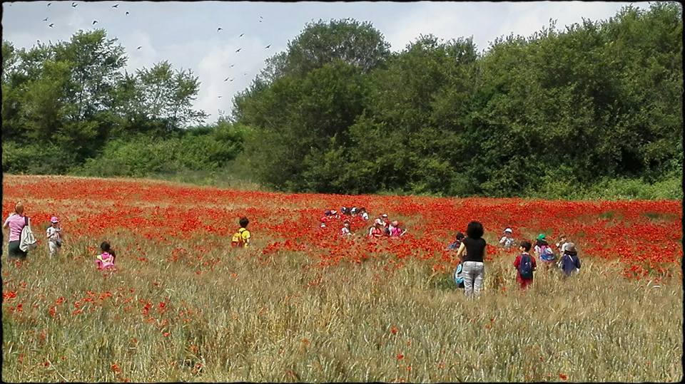 riqualificazione della Caffarella.